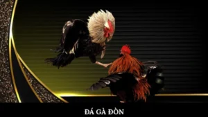 Đá gà đòn