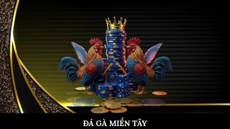 Đá gà miền Tây