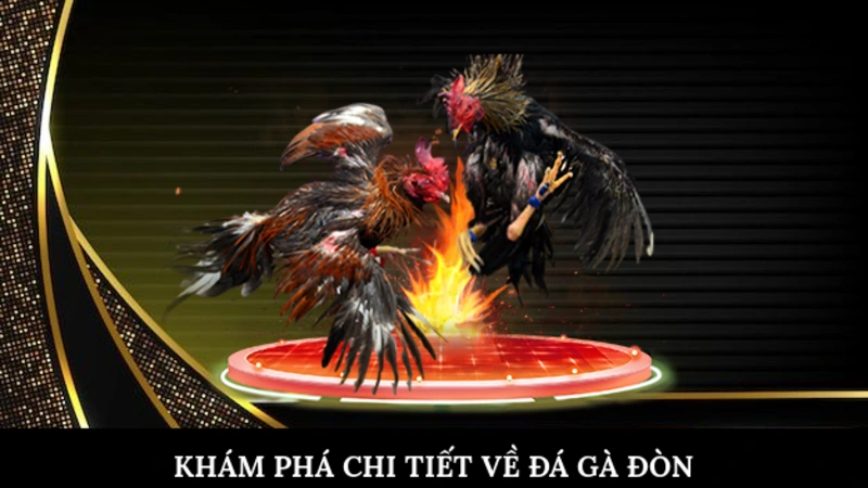 Khám phá chi tiết về đá gà đòn