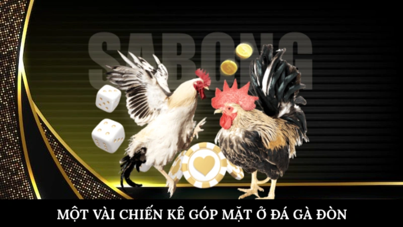 Một vài chiến kê góp mặt ở đá gà đòn