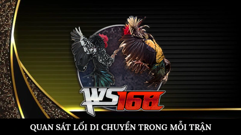 Quan sát lối di chuyển trong mỗi trận