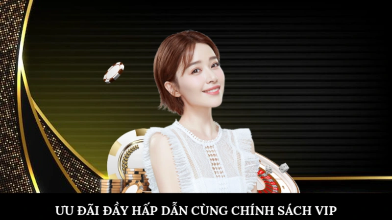 Quyền Lợi Thành Viên Ưu đãi đầy hấp dẫn cùng chính sách VIP
