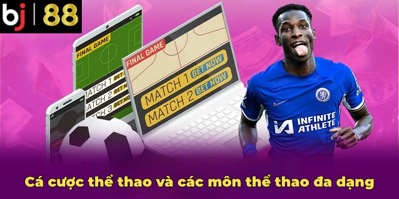Cá cược thể thao và các môn thể thao đa dạng