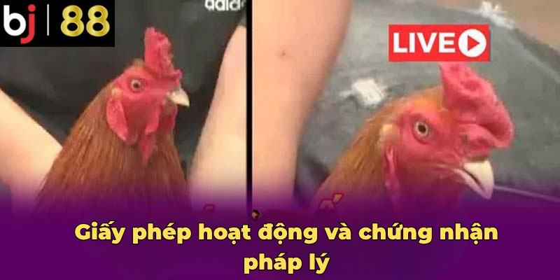 Giấy phép hoạt động và chứng nhận pháp lý