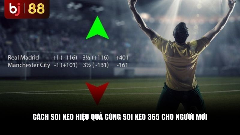 Cách soi kèo hiệu quả cùng Soi kèo 365 cho người mới