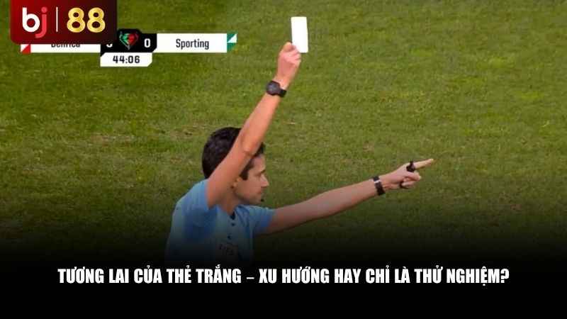 Tương lai của thẻ trắng – xu hướng hay chỉ là thử nghiệm?