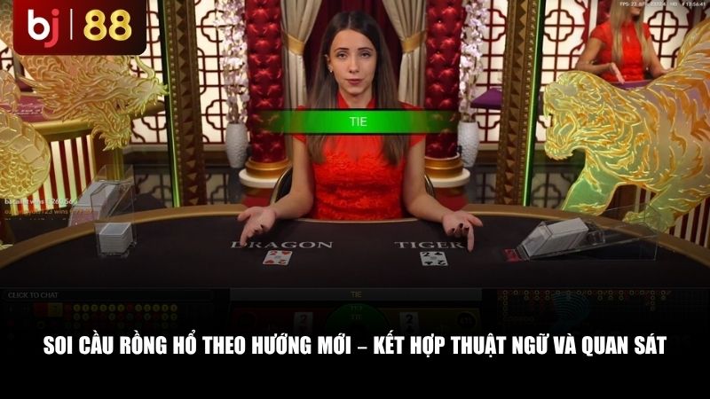 Cách Đọc Thuật Ngữ Rồng Hổ Chuẩn Xác: Bí Kíp Soi Cầu Cho Người Mới Soi cầu Rồng Hổ theo hướng mới – kết hợp thuật ngữ và quan sát