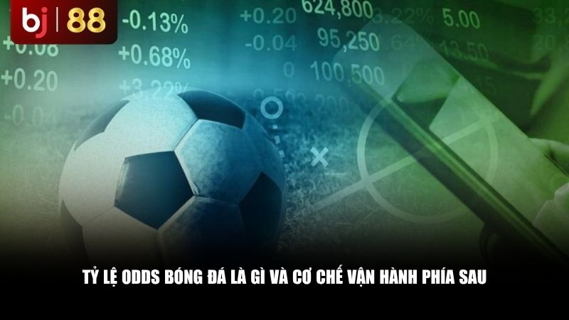 Tỷ lệ odds bóng đá là gì và cơ chế vận hành phía sau